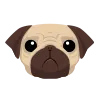 pug